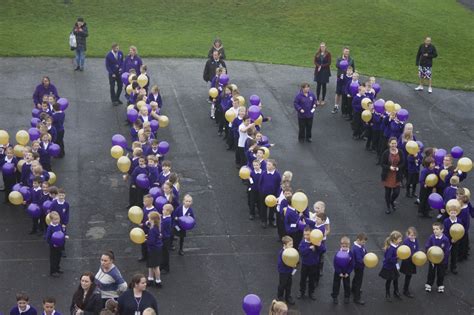 Bexhill turns 50! | Bexhill Academy