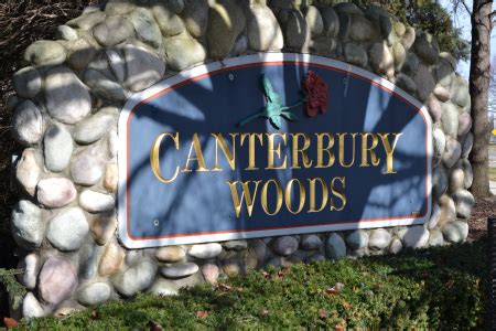 Canterbury Woods