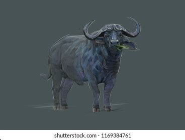 African Buffalo Sketch Color Pencil Drawing: ภาพประกอบสต็อก 1169384761 ...