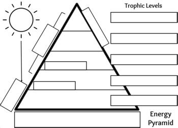 Blank Energy Pyramid Worksheet