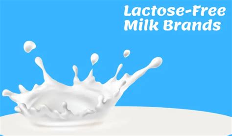 Lactose-Free Milk Brands: 21 to Sip With Ease - The Dairy Dish