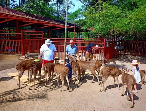 Langkawi Wildlife Park Tickets Price 2024 + [Promotions / Online Discounts]