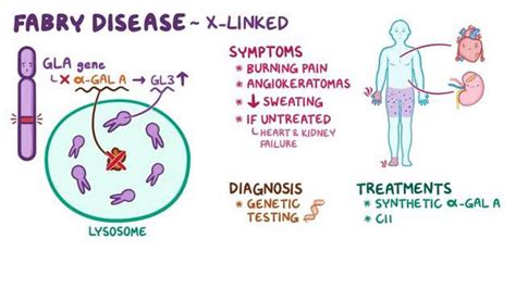 Fabry disease treatment - MEDizzy