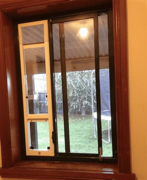 Cat Door, Cat Window Insert – Patio Link