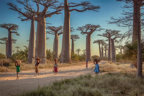 16 amazing things you probably didn't know about Madagascar