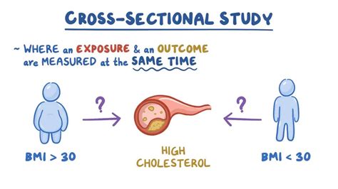 Cross sectional study: Video, Anatomy & Definition | Osmosis