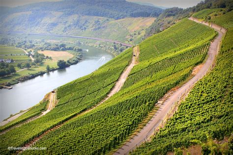 Reil - Mosel River Valley, Germany | Cameron Wears | Flickr