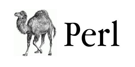 Perl — 1. Introduction | by Himashi Karunathilake | Medium