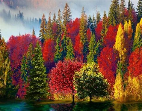 Pin by Francine De La Rosa on Autumn forest | Autumn forest, Painting, Art