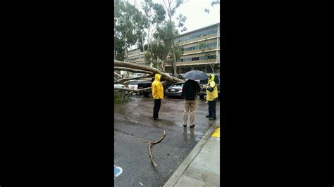 Photos: San Diego Storm damage | cbs8.com