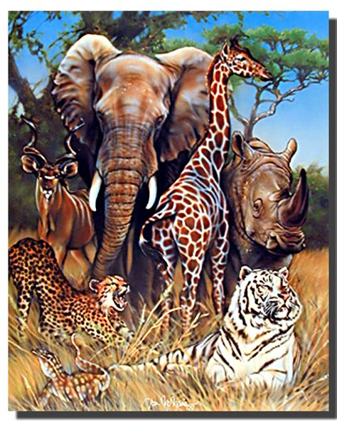 Exotic Wildlife Poster | Animal Posters