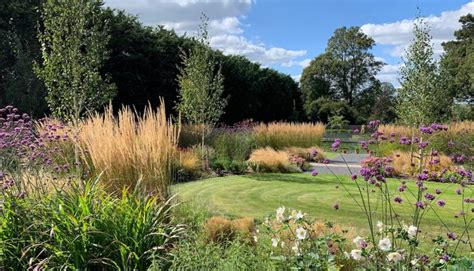 Prairie style planting in Hertfordshire garden design - Amanda Broughton Garden Design