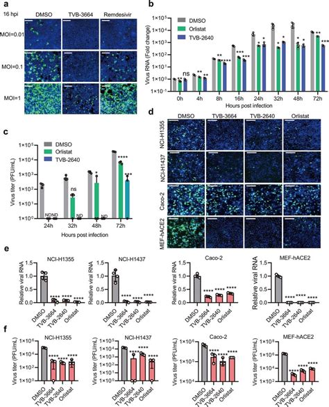 Fatty acid synthase inhibitors suppress SARS-CoV-2 virus... | Download ...