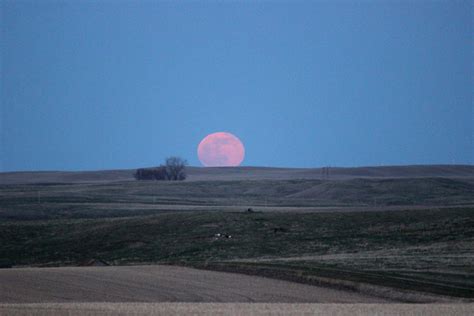 Red moon rising Photos in .jpg format free and easy download unlimit id ...