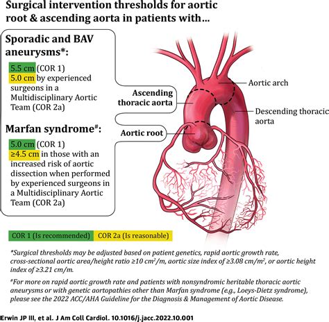 2022 Aortic Disease Guideline-at-a-Glance | Journal of the American College of Cardiology