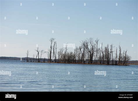 Lake in Sweden Stock Photo - Alamy