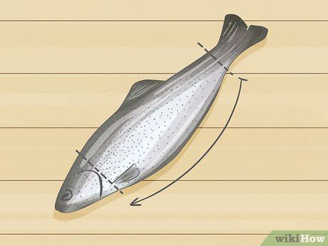 5 Ways to Clean a Fish - wikiHow