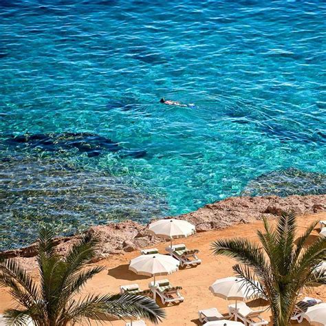 The Top Resorts on the Red Sea Riviera