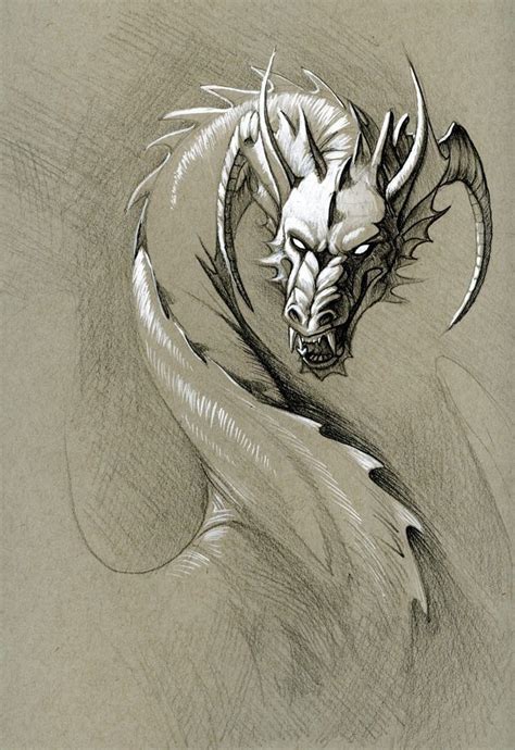 Pin by ཻུ۪۪- 𝑺𝒆𝒊𝒌𝒂𝒎𝒊 on ཻུ۪۪-dragons | Dragon sketch, Dragon drawing, Dragon art