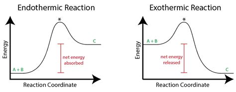 Endothermic vs Exothermic Reactions | ChemTalk