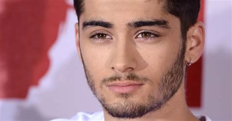 Zayn Malik is an official ambassador for the British Asian Trust, who praise his 'immense talent ...