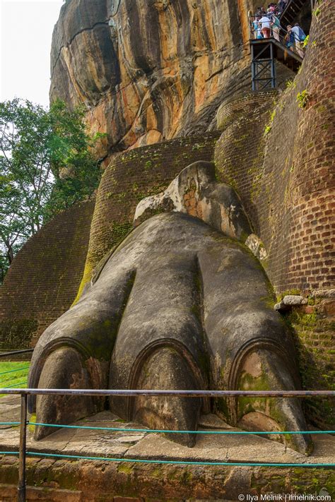 Image of Sigiriya Rock Fortress by Ilya Melnik | 1036754