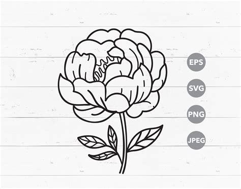 Peony Clipart Black and White SVG, Jpeg, EPS, PNG Vector Flower ...