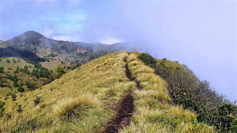 Meesapulimala Trekking: A Breathtaking Adventure In Munnar • Tripinic