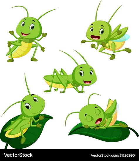 Set collection grasshopper cartoon Royalty Free Vector Image