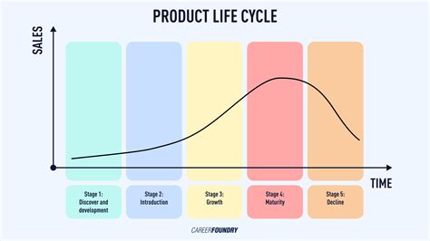 What is the Product Development Life Cycle? A 2023 Guide