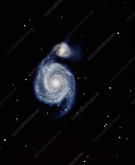 The Whirlpool galaxy - Stock Image - R854/0045 - Science Photo Library