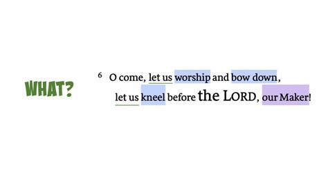 Psalm 95 | The What and Why of Worship | Steve Thomason