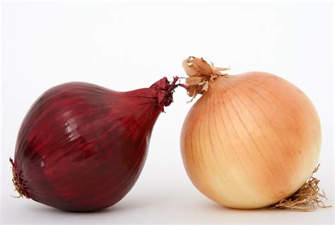 Difference between: white and red onions (and yellow)