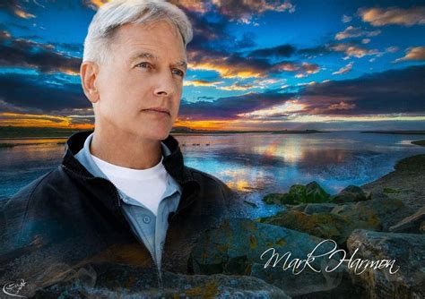 Mark Harmon NCIS Wallpapers - Top Free Mark Harmon NCIS Backgrounds - WallpaperAccess