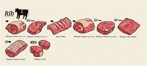 Beef Cuts: Loin, Rib, Sirloin - Guide To Different Cuts of Beef