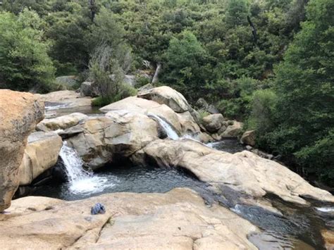 Best 10 Hiking Trails in Cuyamaca Rancho State Park | AllTrails