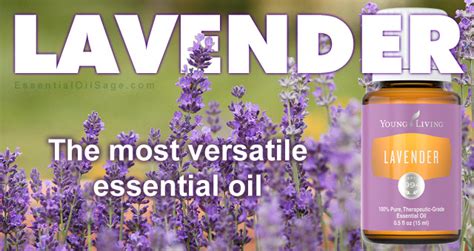 Young Living Lavender Essential Oil - Buy Here