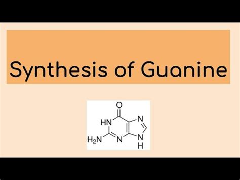 Synthesis of Guanine - YouTube