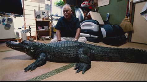 Meet Japan's 'Mr. Gator' and his pet alligator | wthr.com