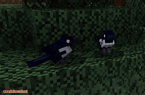 Exotic Birds Mod (1.20.1, 1.19.3) - Birds Take Over Minecraft ...