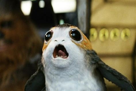 The Last Jedi's Porgs Exist Because They Couldn't Get Rid of Puffins ...