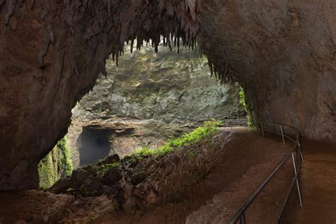 Explore the Río Camuy Cave Park | Discover Puerto Rico