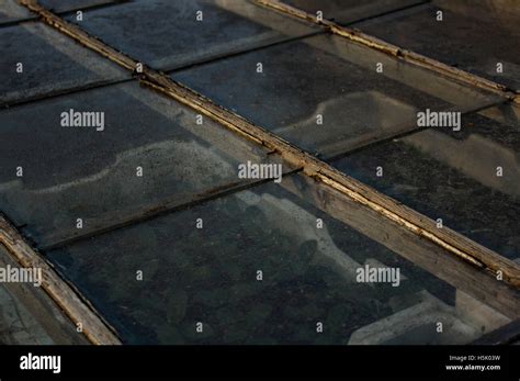 The old greenhouse Stock Photo - Alamy