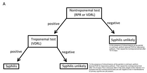 Syphilis Stages Diagram