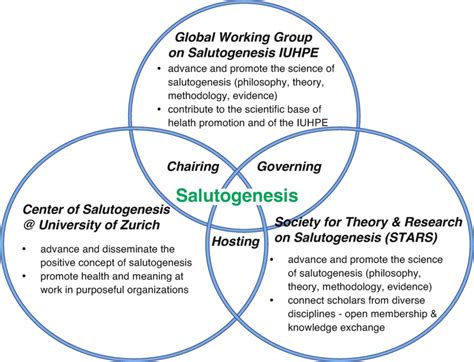 Salutogenesis Meeting Places: The Global Working Group, the Center, and the Society on ...