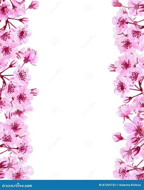 Cherry Blossom Border Background