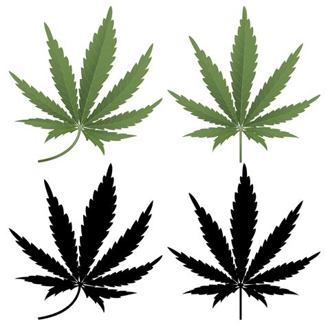 Cannabis leaf vector 7270656 Vector Art at Vecteezy