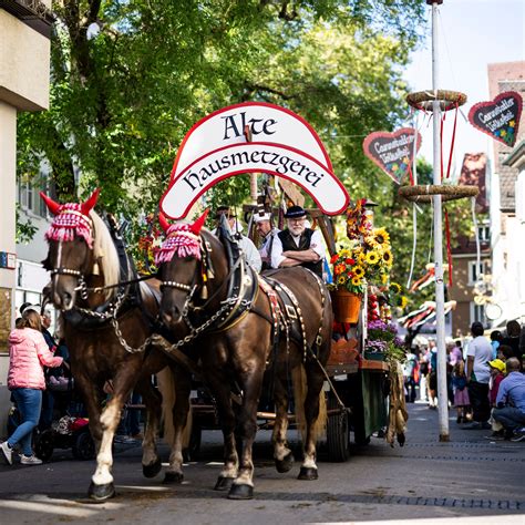 Cannstatter Volksfest - Selection City Guide