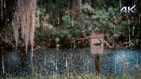 Heavy Rain Sound 1 Hour. ASMR Ultimate Stress Relief, Deep Sleep ...