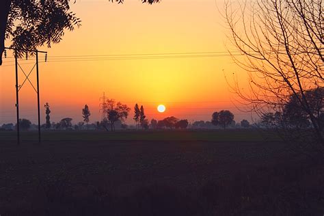 agri land #punjab #india #trees #sunset #5K #wallpaper #hdwallpaper #desktop | Hd wallpaper ...